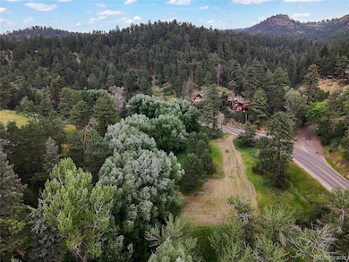 5411 Parmalee Gulch Rd, Indian Hills, CO 80454 - photo 7