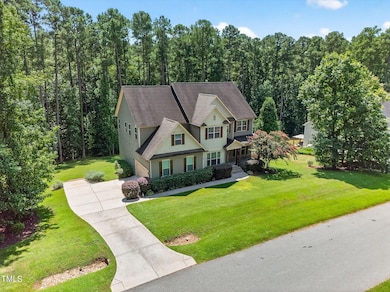 206 Running Springs Ct, Clayton, NC 27527 - photo 6