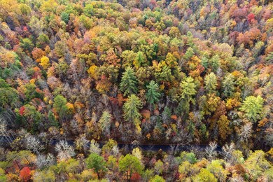 TBD Evans Chapel Rd, Sevierville, TN 37876 - photo 7