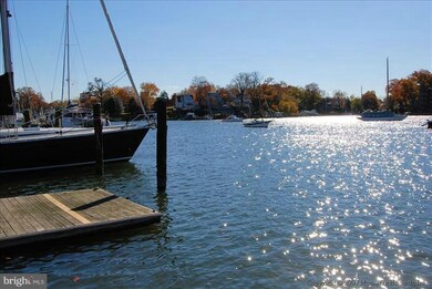 436 Cranes Roost Ct unit 81, Annapolis, MD 21409 - photo 7