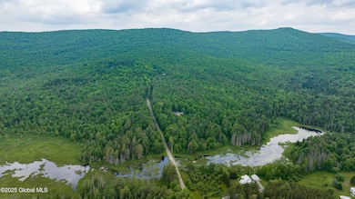 DJI_20250611113251_0991_D