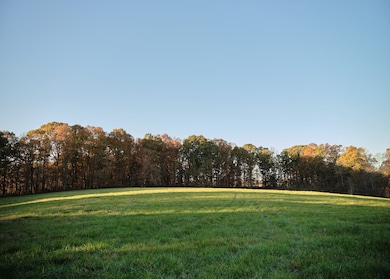 7725 Caney Fork Rd, Fairview, TN 37062 - photo 4