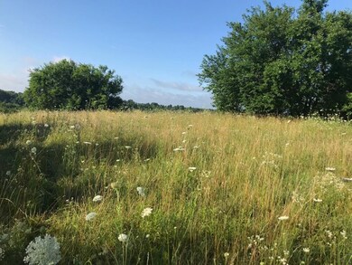 8947 Cornishville Rd, Harrodsburg, KY 40330 - photo 5