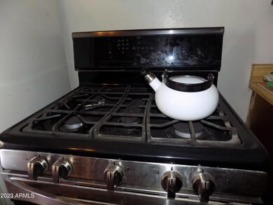 Gas Stove
