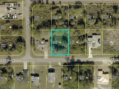 843 Calumet St E, Lehigh Acres, FL 33974 - photo 2