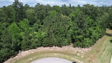 0 Hazy Landing Ct unit 93482164, Spring, TX 77386 - photo 3