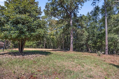 758 Caughman Point, Leesville, SC 29070 - photo 7