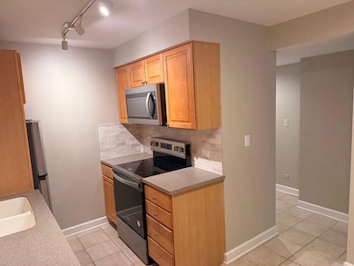 Spanish Court unit 304, Highland Park, IL 60035 - photo 7