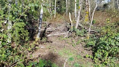 0 SW Cleveland St, Port Orchard, WA 98367 - photo 3