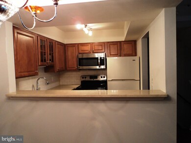 5700 Chapman Mill Dr unit 320, Rockville, MD 20852 - photo 6