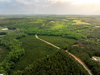 00 Elford Grove Rd unit Tract 1, Jonesville, SC 29353 - photo 3