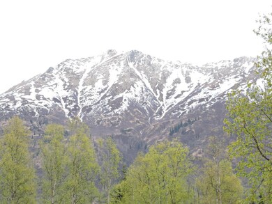 18821 Sarichef Loop, Eagle River, AK 99577 - photo 5