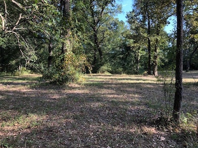 0 Farm To Market 706, Lufkin, TX 75904 - photo 2