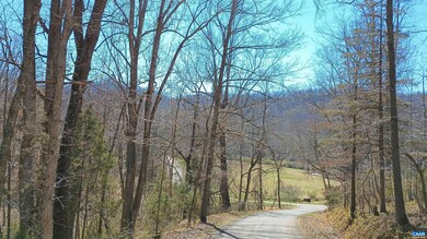 Property is on the left hand side of this photo. Y