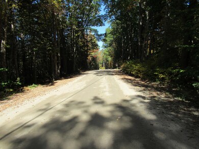 51 Edgar Albert Rd, Rumney, NH 03266 - photo 3