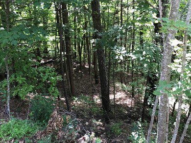 Possibly building area