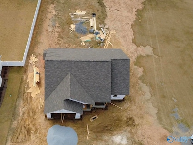 5989 County Road 33, Hollywood, AL 35752 - photo 6