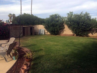 Backyard grassy area