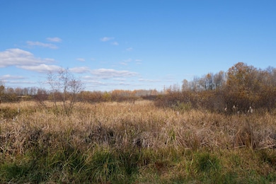 +/-23 Acres Tower Ave, Medford, WI 54451 - photo 5