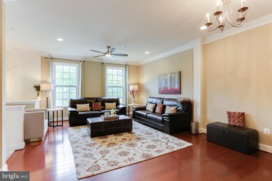8889 Purple Iris Ln, Elkridge, MD 21075 - photo 4