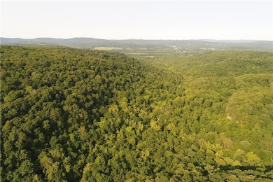 Tract A Madison Cr 6021, Elkins, AR 72727 - photo 2