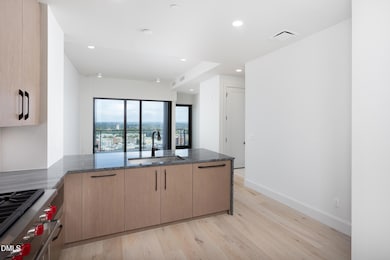 115 Morris St unit 2002, Durham, NC 27701 - photo 6