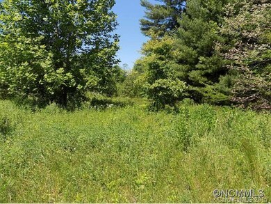 255 McCraws Hill Dr unit 3, Hendersonville, NC 28792 - photo 4