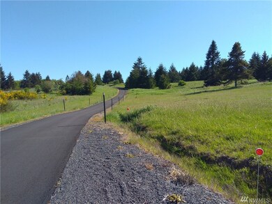 359 Hale Rd W, Winlock, WA 98596 - photo 2