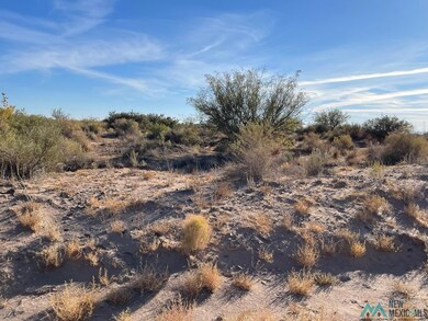 XXXX Pecos Rd SW, Deming, NM 88030 - photo 7