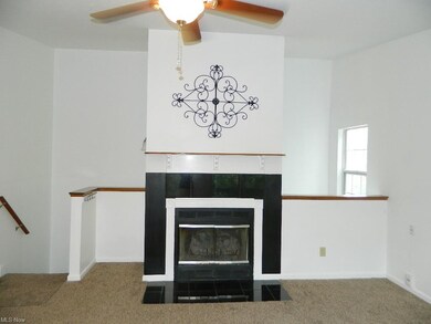 Close Up View of Wood Burning Fireplace Accented i