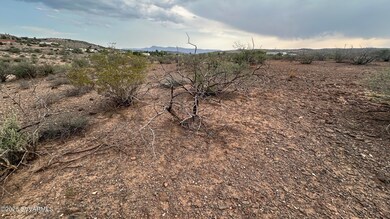 IMG_9497