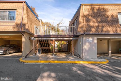 3806 Joshua Place unit D, Alexandria, VA 22309 - photo 4