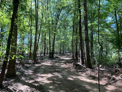 0 Reynolds Rd, Tensaw, AL 36579 - photo 2