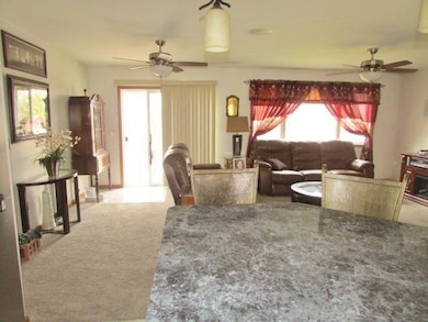 12922 Knight St, Cedar Lake, IN 46303 - photo 7