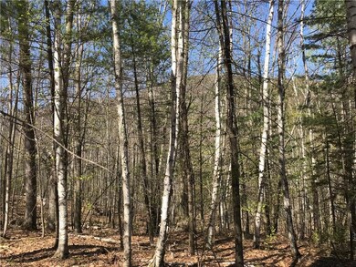 The mixed forest provides privacy,...