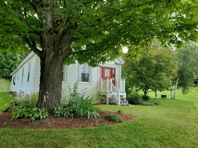 Front Maple