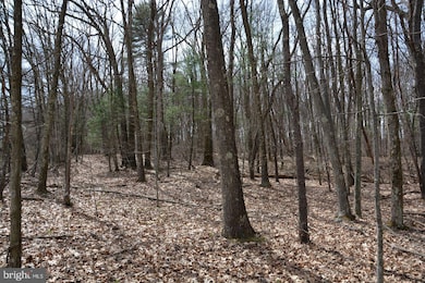 0 Akers Rd unit PABD2002772, Clearville, PA 15535 - photo 7