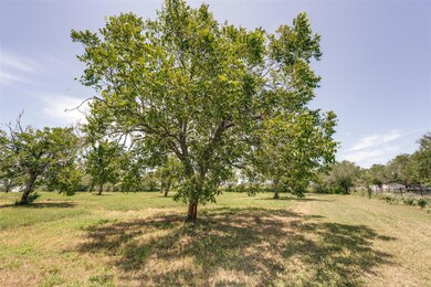 View of grassy yard