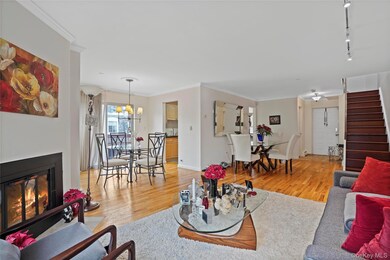Copper Beech unit 3-9, White Plains, NY 10601 - photo 7