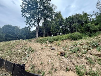 111 Munsonhurst Rd, Franklin Boro, NJ 07416 - photo 6