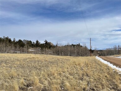 1241 Kiowa St, Como, CO 80432 - photo 4