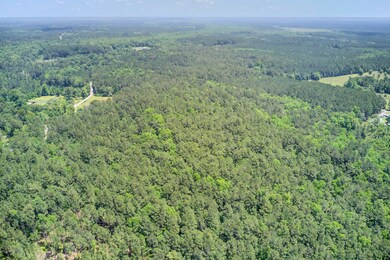 Drone View