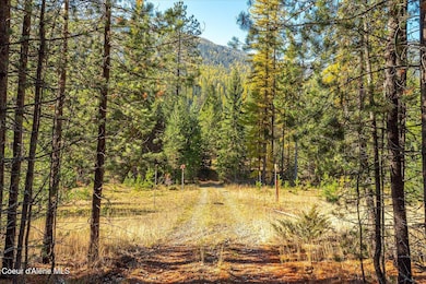 NNA N, Bonners Ferry, ID 83805 - photo 7