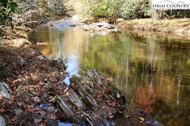 9700 Elk Creek Rd, Deep Gap, NC 28618 - photo 4