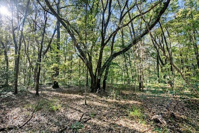 2515 Joseph Pearline Rd, Johns Island, SC 29455 - photo 3