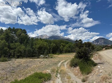 17566 Trout Cir, Buena Vista, CO 81211 - photo 4