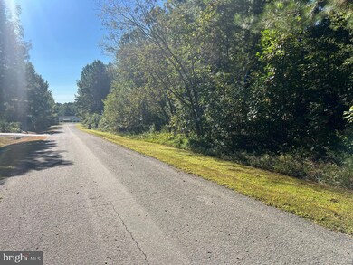 0 Cincinnati Place unit VALA2008546, Mineral, VA 23117 - photo 2