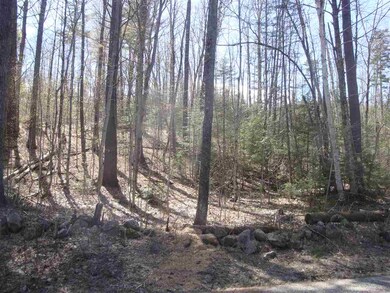Lot 2 N Groton unit 2, Groton, NH 03241 - photo 2
