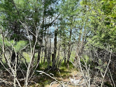 2 Seymour St, Onekama Township, MI 49675 - photo 5