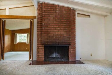 Original Fireplace